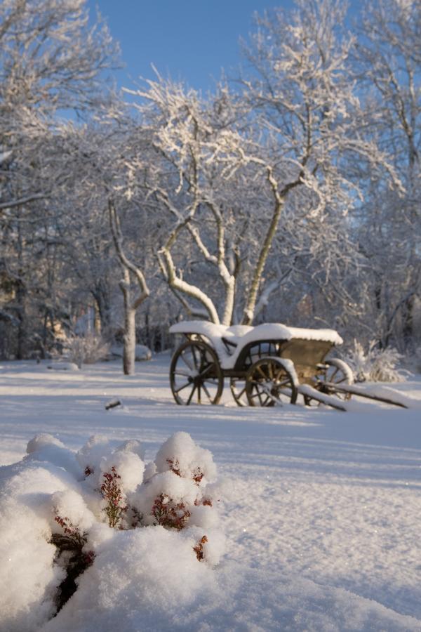 Paedaste Manor Bagian luar foto